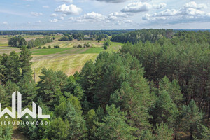 Działka na sprzedaż 3716m2 łomżyński Zbójna Dobry Las - zdjęcie 3