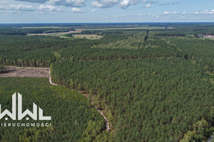 Działka na sprzedaż 3716m2 łomżyński Zbójna Dobry Las - zdjęcie 2