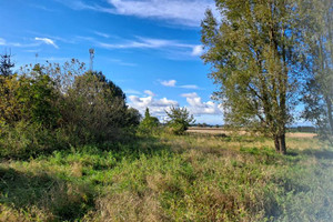 Działka na sprzedaż elbląski Gronowo Elbląskie Jegłownik Długa - zdjęcie 1