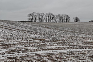 Działka na sprzedaż 114560m2 sztumski Sztum Postolin - zdjęcie 1