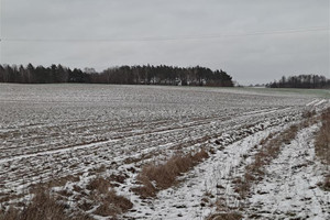 Działka na sprzedaż 114560m2 sztumski Sztum Postolin - zdjęcie 2