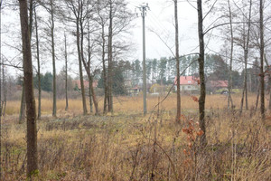 Działka na sprzedaż olsztyński Dobre Miasto Cerkiewnik - zdjęcie 2