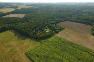 Działka na sprzedaż 285900m2 ostródzki Grunwald Kalwa - zdjęcie 1