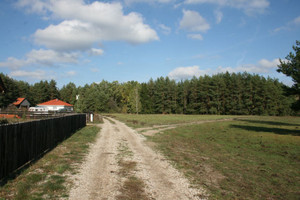 Działka na sprzedaż 1154m2 piski Biała Piska Zabielne - zdjęcie 3