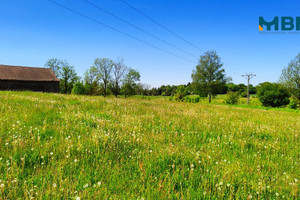 Działka na sprzedaż 21800m2 węgorzewski Węgorzewo Rudziszki - zdjęcie 1