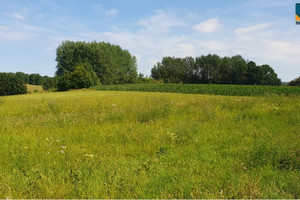 Działka na sprzedaż 3035m2 węgorzewski Pozezdrze Stręgielek - zdjęcie 2