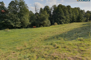 Działka na sprzedaż giżycki Kruklanki - zdjęcie 2