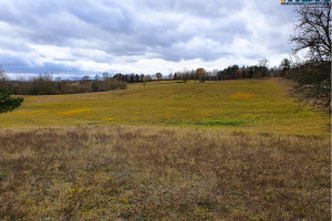 Działka na sprzedaż 65579m2 piski Orzysz Tuchlin - zdjęcie 2