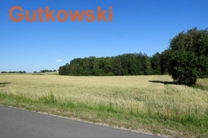 Działka na sprzedaż 8100m2 iławski Iława Mątyki - zdjęcie 3