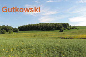 Działka na sprzedaż 24443m2 nowomiejski Nowe Miasto Lubawskie Lekarty - zdjęcie 2