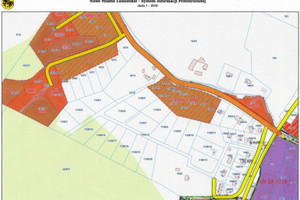 Działka na sprzedaż 3376m2 nowomiejski Nowe Miasto Lubawskie Łąki Bratiańskie - zdjęcie 3