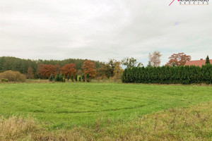 Działka na sprzedaż 2932m2 ostródzki Małdyty Sambród - zdjęcie 1