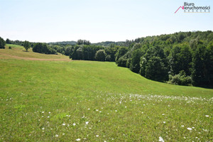 Działka na sprzedaż 11721m2 olsztyński Świątki Włodowo - zdjęcie 2