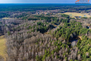 Działka na sprzedaż 67100m2 olsztyński Purda Pokrzywy - zdjęcie 2