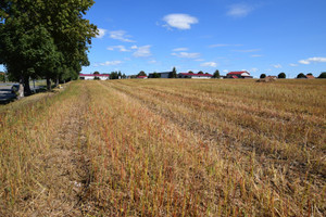 Działka na sprzedaż 3000m2 nidzicki Kozłowo Nidzicka - zdjęcie 3