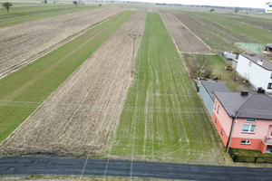 Działka na sprzedaż 6200m2 piotrkowski Rozprza Milejów - zdjęcie 2