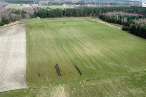 Działka na sprzedaż 30200m2 piotrkowski Gorzkowice Sobakówek - zdjęcie 3