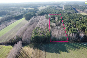 Działka na sprzedaż 11400m2 opoczyński Paradyż Wójcin - zdjęcie 1