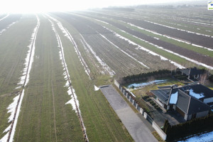 Działka na sprzedaż 1200m2 Piotrków Trybunalski Świerczowska - zdjęcie 2