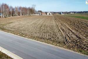 Działka na sprzedaż 3200m2 opoczyński Paradyż Wójcin - zdjęcie 1