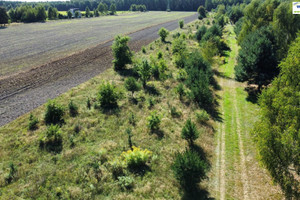 Działka na sprzedaż piotrkowski Wolbórz Lubiaszów - zdjęcie 3