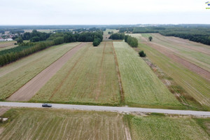 Działka na sprzedaż 9500m2 aleksandrowski Aleksandrów Kujawski - zdjęcie 1