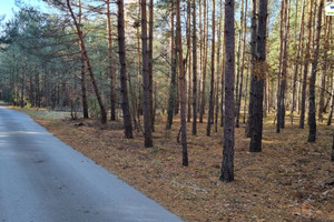 Działka na sprzedaż 3021m2 piotrkowski Aleksandrów Ostrów - zdjęcie 3