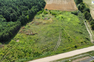 Działka na sprzedaż 13900m2 piotrkowski Rozprza - zdjęcie 3