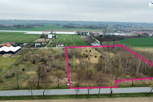 Działka na sprzedaż 17542m2 płoński Płońsk - zdjęcie 1