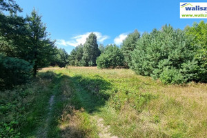 Działka na sprzedaż 5400m2 piotrkowski Łęki Szlacheckie Kuźnica Żerechowska - zdjęcie 1