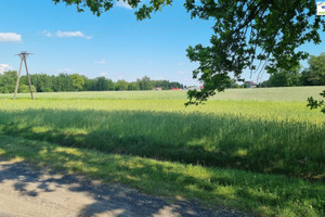 Działka na sprzedaż 4023m2 łódzki wschodni Andrespol Kraszew - zdjęcie 3