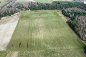 Działka na sprzedaż 30200m2 piotrkowski Gorzkowice Sobakówek - zdjęcie 2