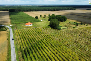 Działka na sprzedaż 1104m2 piotrkowski Sulejów Łazy-Dąbrowa - zdjęcie 3