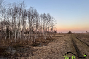 Działka na sprzedaż 9700m2 tarnogórski Ożarowice Oparowa - zdjęcie 3