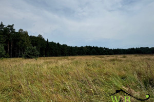 Działka na sprzedaż tarnogórski Kalety Wesoła - zdjęcie 1