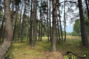 Działka na sprzedaż tarnogórski Kalety Wesoła - zdjęcie 3