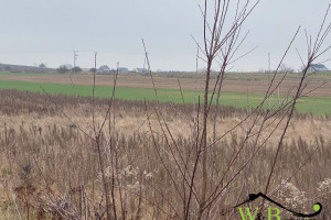 Działka na sprzedaż 1000m2 tarnogórski Świerklaniec Nakło Śląskie Lasowicka - zdjęcie 4