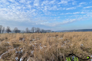 Działka na sprzedaż 1200m2 tarnogórski Tworóg Połomia - zdjęcie 3