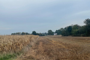 Działka na sprzedaż 6500m2 gliwicki Gierałtowice Graniczna - zdjęcie 1