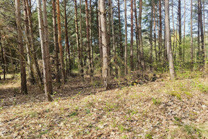 Działka na sprzedaż 2594m2 grodziski Żabia Wola Ojrzanów Przyleśna - zdjęcie 2