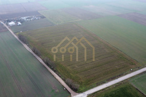 Działka na sprzedaż 34163m2 pułtuski Zatory - zdjęcie 3