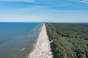 Komercyjne na sprzedaż 316m2 nowodworski Stegna Ogrodowa - zdjęcie 3