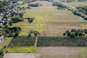 Działka na sprzedaż 13336m2 piaseczyński Góra Kalwaria Czarny Las - zdjęcie 3