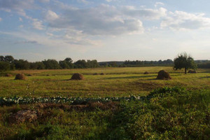 Działka na sprzedaż 3553m2 piaseczyński Góra Kalwaria Podłęcze - zdjęcie 1