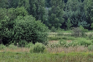 Działka na sprzedaż 20900m2 grójecki Pniewy Jurki - zdjęcie 2