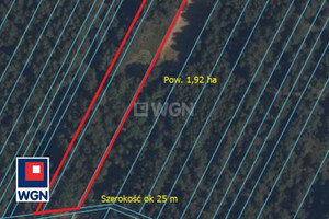 Działka na sprzedaż 19200m2 pajęczański Pajęczno Patrzyków Patrzyków - zdjęcie 2