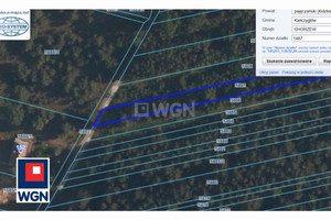 Działka na sprzedaż 8100m2 pajęczański Kiełczygłów Chorzew - zdjęcie 2