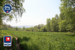 Działka na sprzedaż 40068m2 kłodzki Lądek-Zdrój Mickiewicza - zdjęcie 2