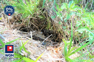 Działka na sprzedaż 86594m2 kłodzki Lądek-Zdrój Mickiewicza - zdjęcie 4