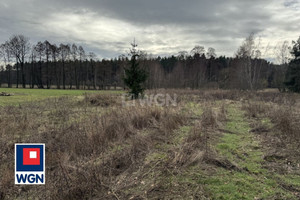 Działka na sprzedaż ostrzeszowski Ostrzeszów Niedźwiedź - zdjęcie 4